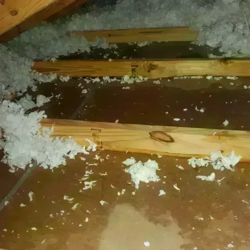 Attic Water Damage in Lower Grand Lagoon, FL