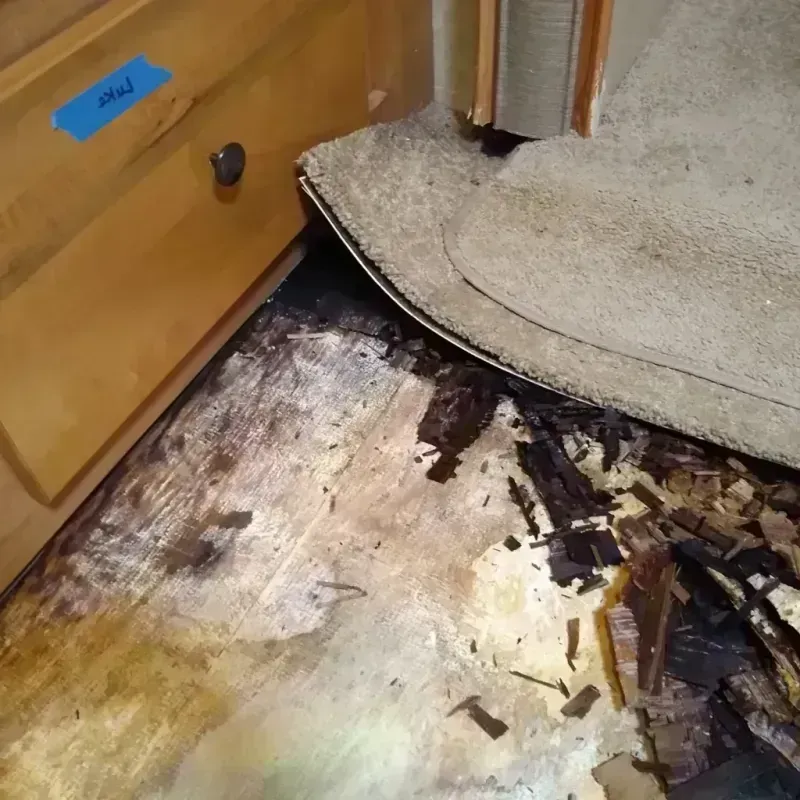 Best Wood Floor Water Damage Service in Lower Grand Lagoon, FL